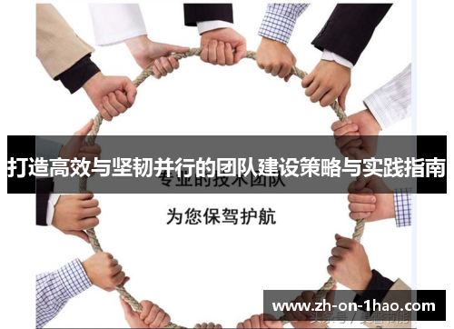 打造高效与坚韧并行的团队建设策略与实践指南