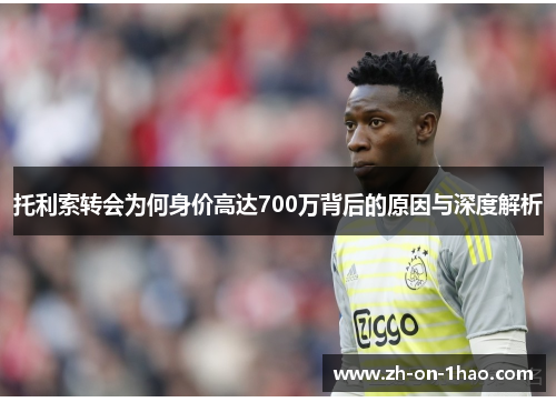 托利索转会为何身价高达700万背后的原因与深度解析