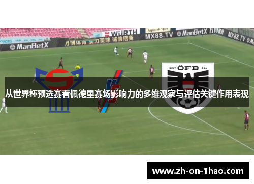 从世界杯预选赛看佩德里赛场影响力的多维观察与评估关键作用表现