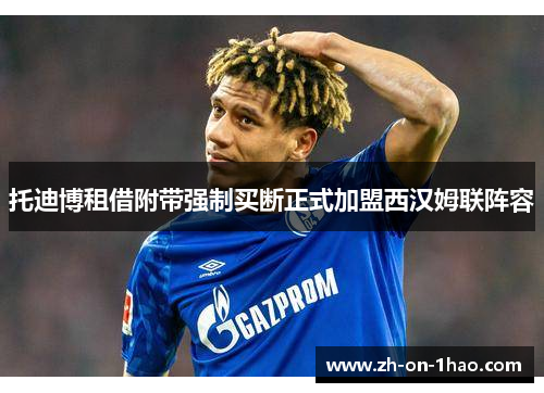 托迪博租借附带强制买断正式加盟西汉姆联阵容