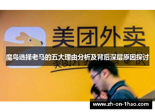 魔鸟选择老马的五大理由分析及背后深层原因探讨